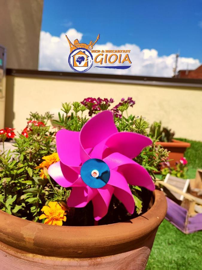 B&B Gioia Catanzaro Eksteriør bilde
